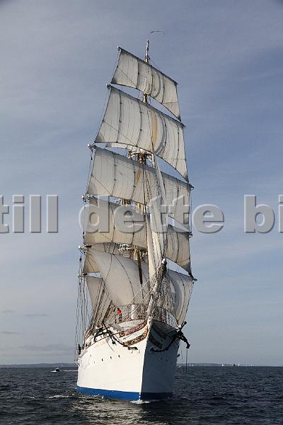 TSR2011_2 685.JPG